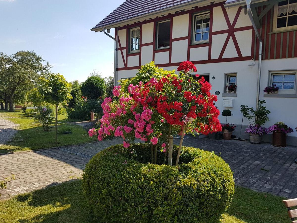 Landgut Apfelrose Hotel Friedrichshafen Ngoại thất bức ảnh
