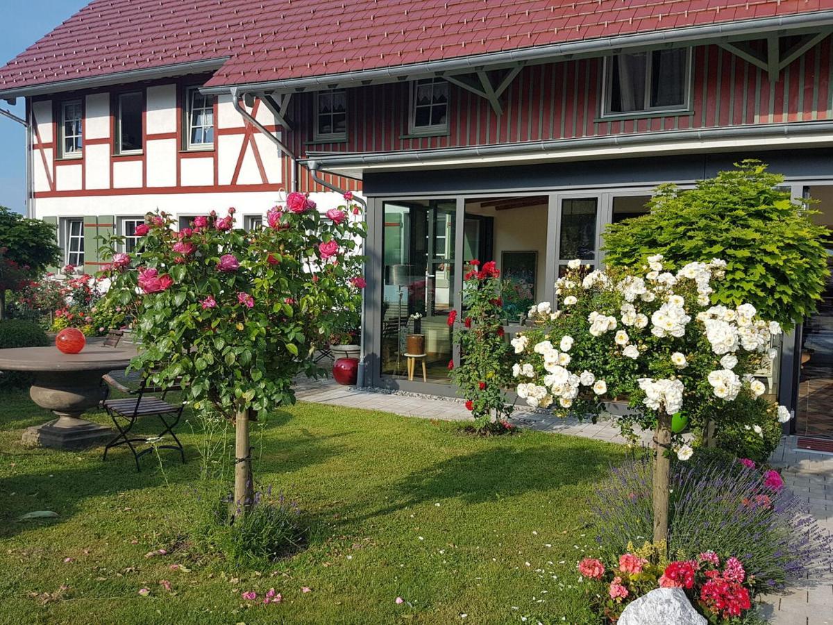 Landgut Apfelrose Hotel Friedrichshafen Ngoại thất bức ảnh