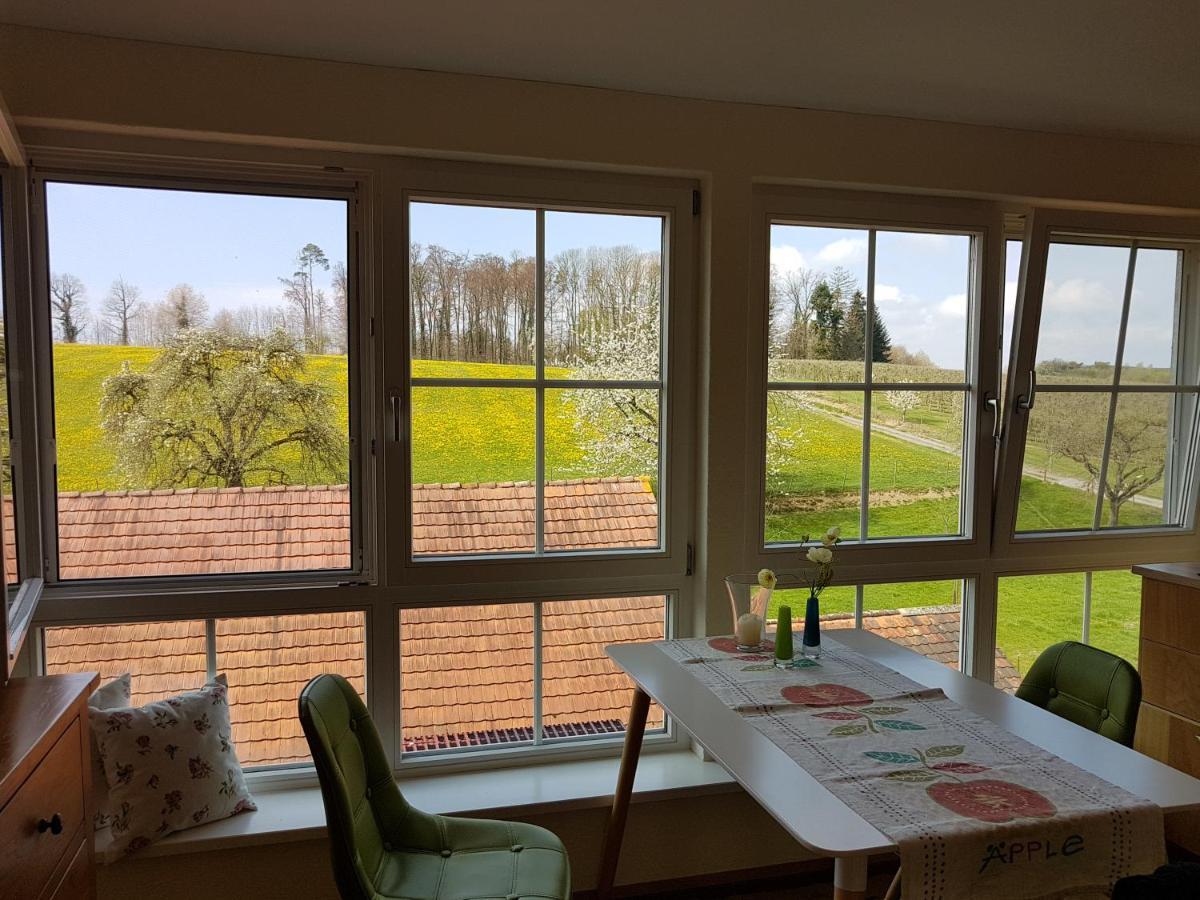 Landgut Apfelrose Hotel Friedrichshafen Ngoại thất bức ảnh