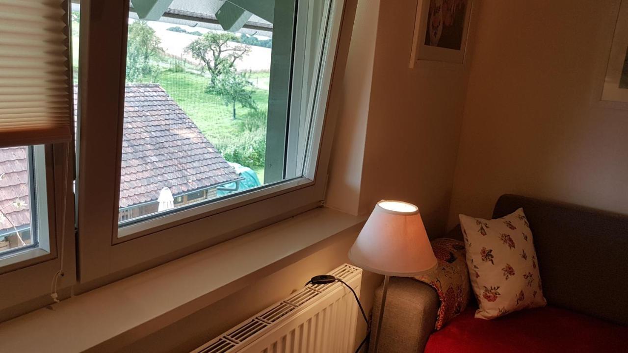 Landgut Apfelrose Hotel Friedrichshafen Ngoại thất bức ảnh