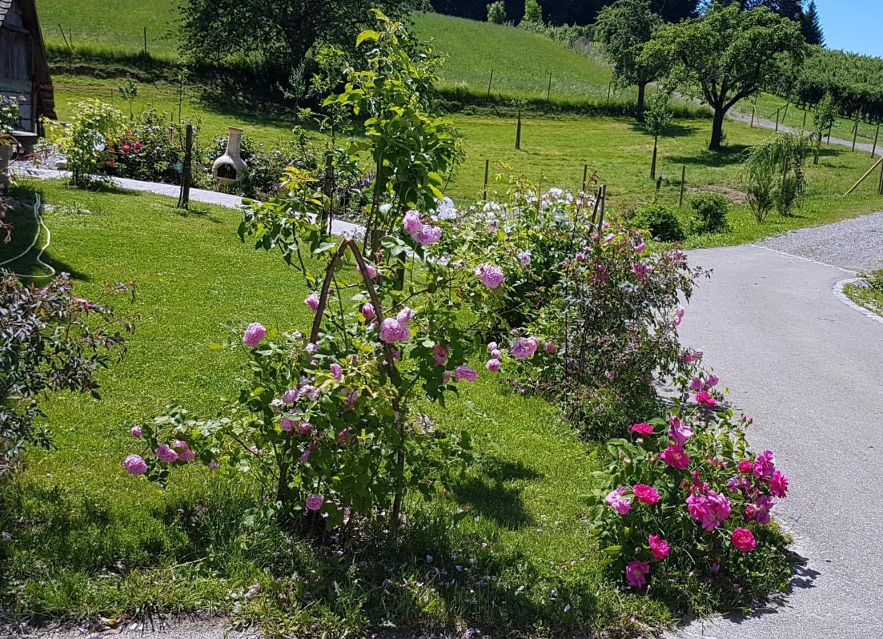 Landgut Apfelrose Hotel Friedrichshafen Ngoại thất bức ảnh
