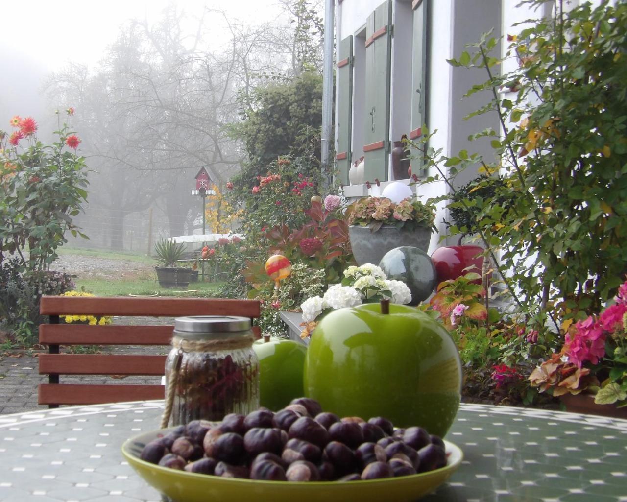 Landgut Apfelrose Hotel Friedrichshafen Ngoại thất bức ảnh